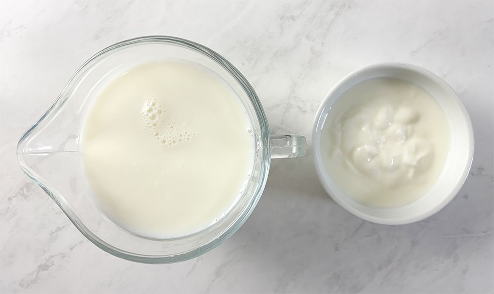visão dos ingredientes para fazer o iogurte grego sem lactose